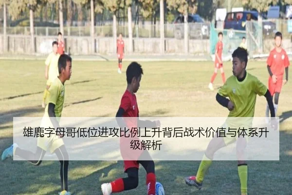 雄鹿字母哥低位进攻比例上升背后战术价值与体系升级解析